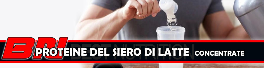 PROTEINE DEL SIERO DI LATTE - CONCENTRATE